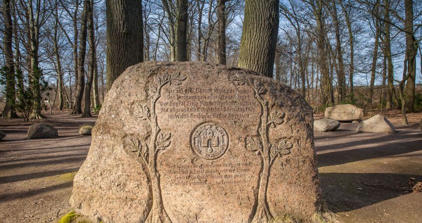 Idyllisch wohnen auf dem Land in Emstek im OM