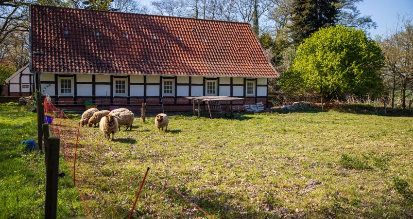 Idyllisch wohnen auf dem Land in Löningen im OM